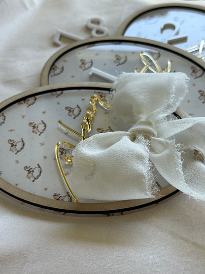 Baby Milestone Plaques- Newborn baby discs
