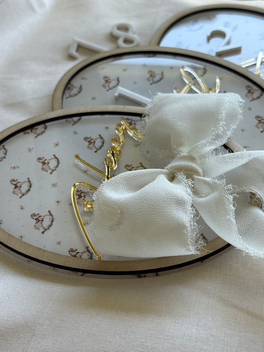 Baby Milestone Plaques- Newborn baby discs