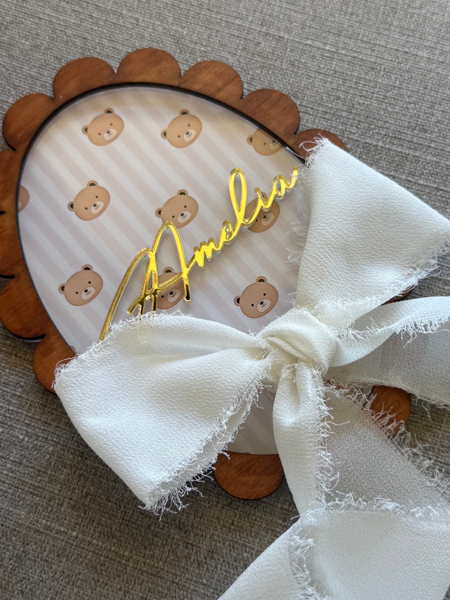 Baby Milestone Plaques- Newborn baby discs