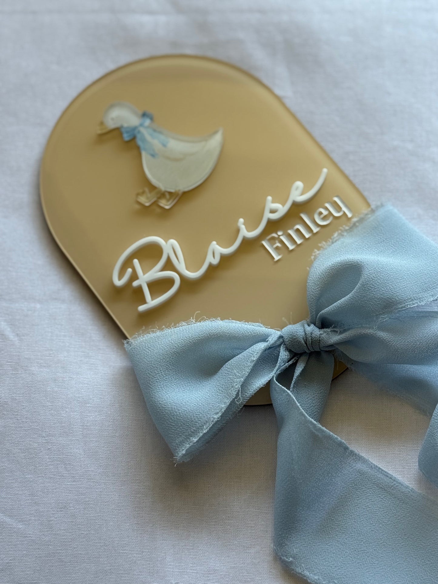 Decorative item with a duck design and the name 'Blaise Finley' on a beige background.