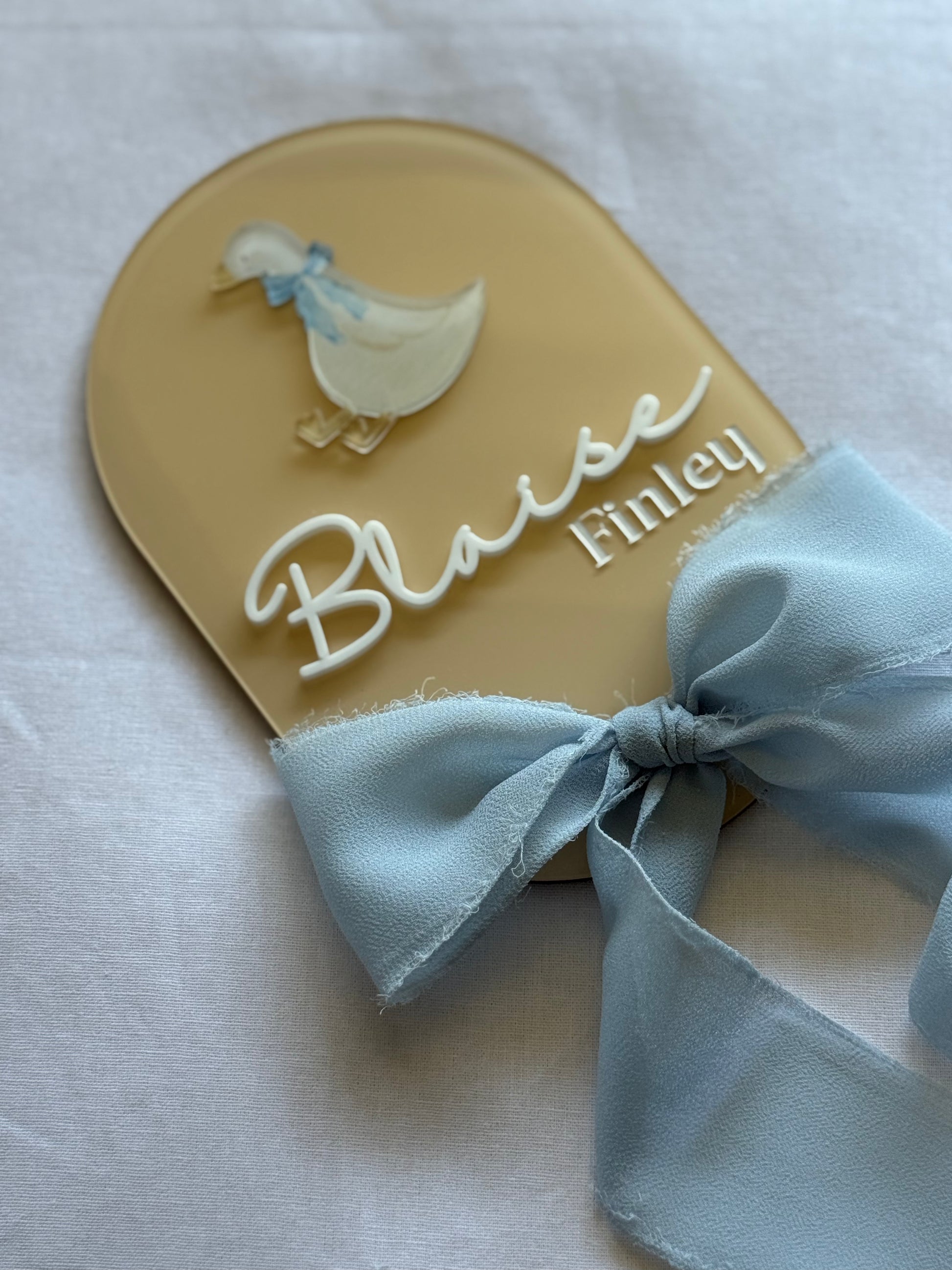 Decorative item with a duck design and the name 'Blaise Finley' on a beige background.