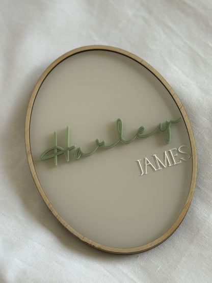 Baby Milestone Plaques- Newborn baby discs