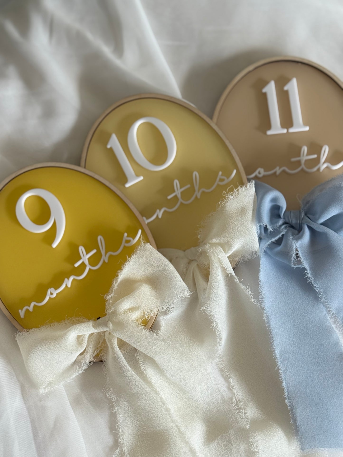 Baby Milestone Plaques
